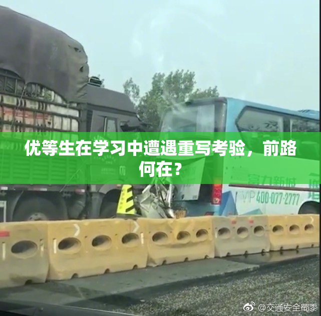 优等生在学习中遭遇重写考验，前路何在？