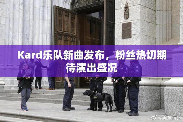 Kard乐队新曲发布，粉丝热切期待演出盛况