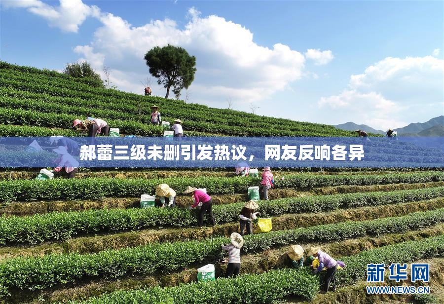 郝蕾三级未删引发热议，网友反响各异
