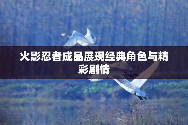 火影忍者成品展现经典角色与精彩剧情