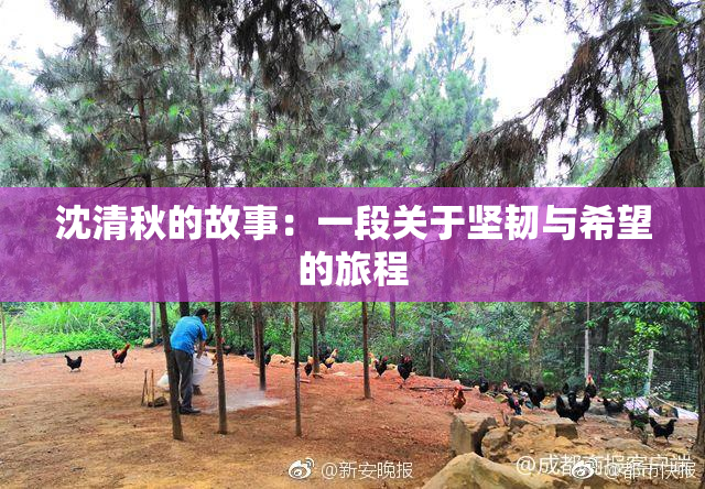 沈清秋的故事：一段关于坚韧与希望的旅程