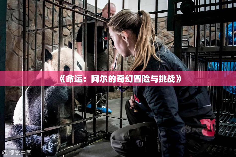 《命运：阿尔的奇幻冒险与挑战》