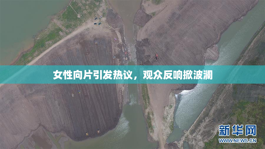 女性向片引发热议，观众反响掀波澜