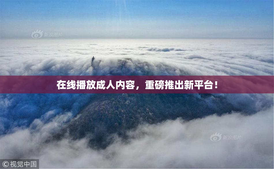 在线播放成人内容，重磅推出新平台！