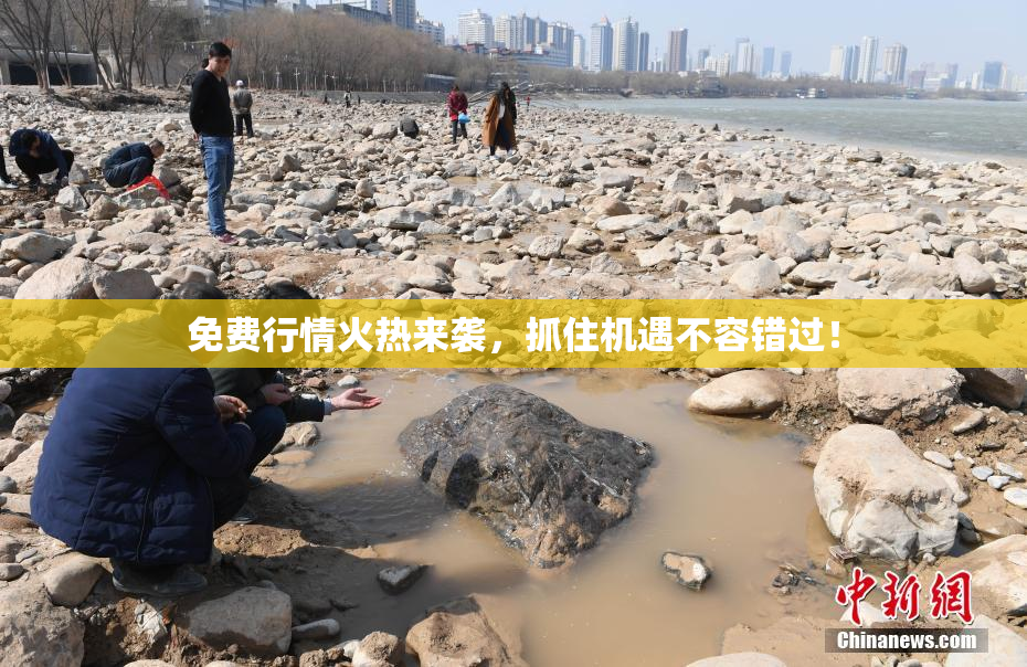 免费行情火热来袭，抓住机遇不容错过！