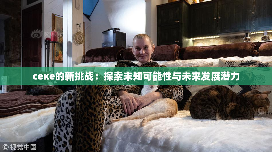 ceке的新挑战：探索未知可能性与未来发展潜力