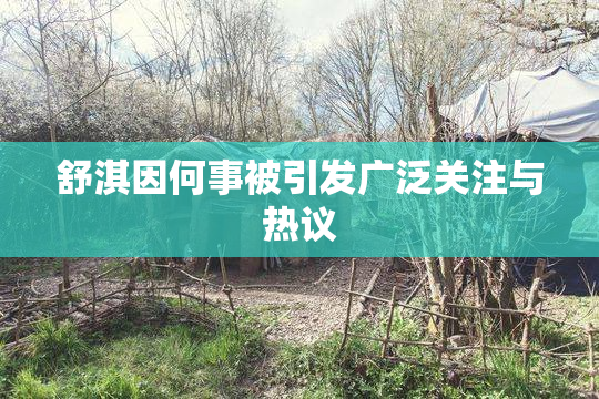舒淇因何事被引发广泛关注与热议
