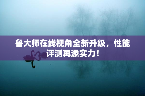 鲁大师在线视角全新升级，性能评测再添实力！