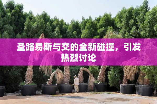 圣路易斯与交的全新碰撞，引发热烈讨论
