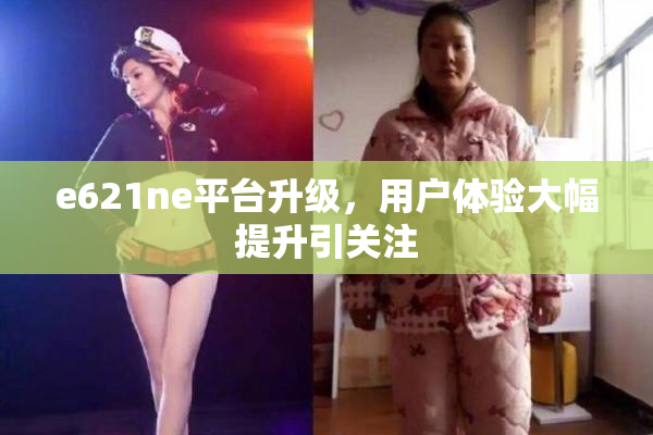 e621ne平台升级，用户体验大幅提升引关注