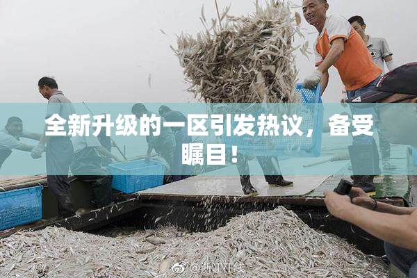 全新升级的一区引发热议，备受瞩目！