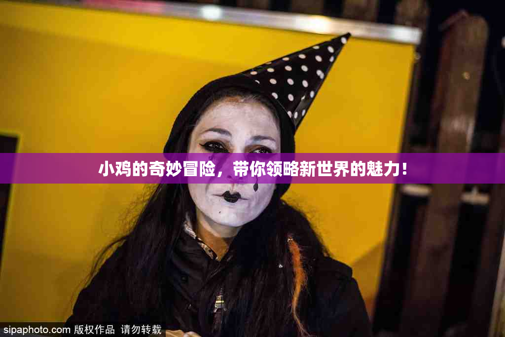 小鸡的奇妙冒险，带你领略新世界的魅力！