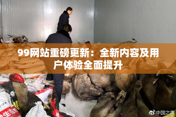 99网站重磅更新：全新内容及用户体验全面提升