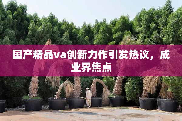 国产精品va创新力作引发热议，成业界焦点