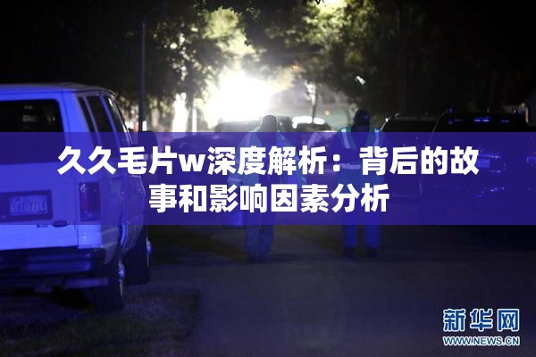久久毛片w深度解析：背后的故事和影响因素分析
