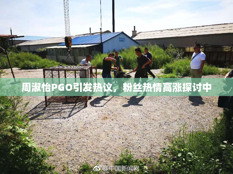 周淑怡PGO引发热议，粉丝热情高涨探讨中