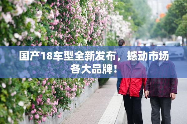 国产18车型全新发布，撼动市场各大品牌！