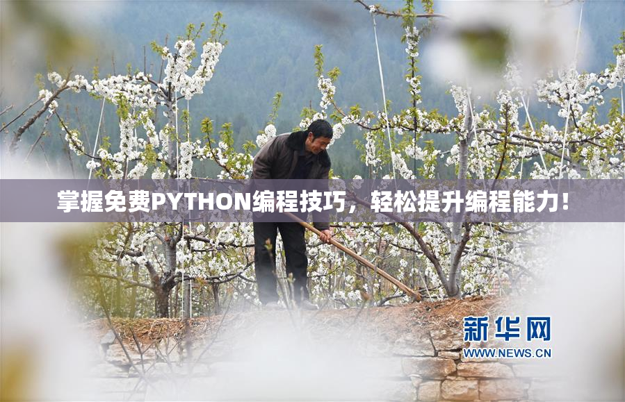 掌握免费PYTHON编程技巧，轻松提升编程能力！