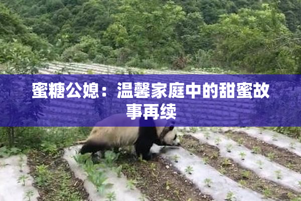 蜜糖公媳：温馨家庭中的甜蜜故事再续