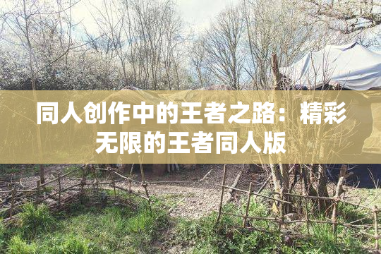 同人创作中的王者之路：精彩无限的王者同人版