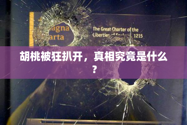 胡桃被狂扒开，真相究竟是什么？