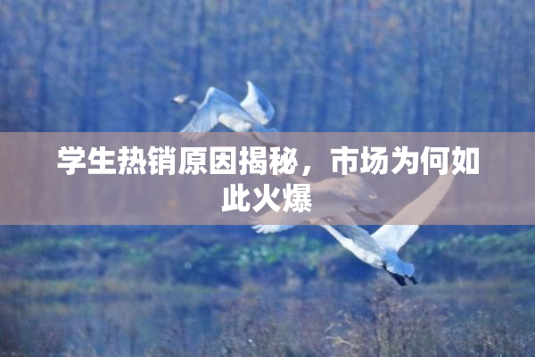 学生热销原因揭秘，市场为何如此火爆