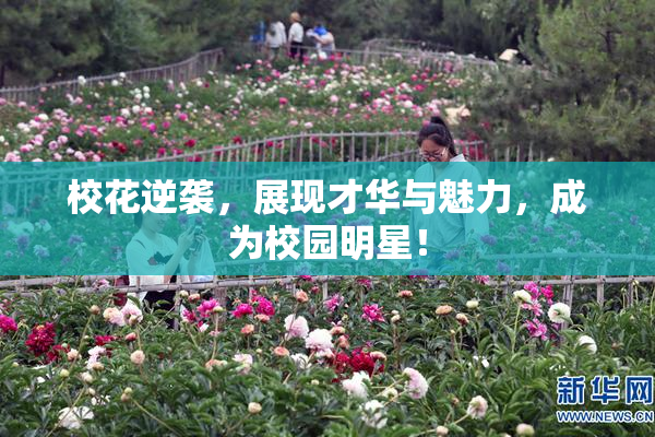 校花逆袭，展现才华与魅力，成为校园明星！