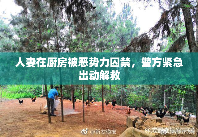 人妻在厨房被恶势力囚禁，警方紧急出动解救