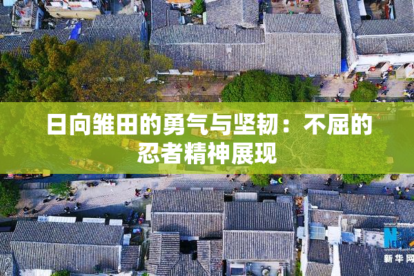 日向雏田的勇气与坚韧：不屈的忍者精神展现