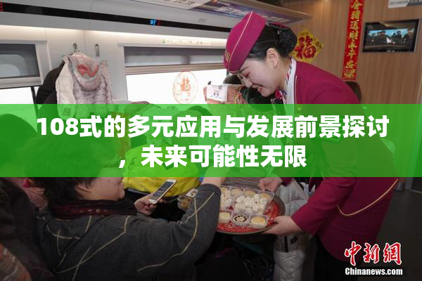 108式的多元应用与发展前景探讨，未来可能性无限