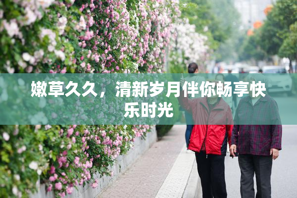 嫩草久久，清新岁月伴你畅享快乐时光