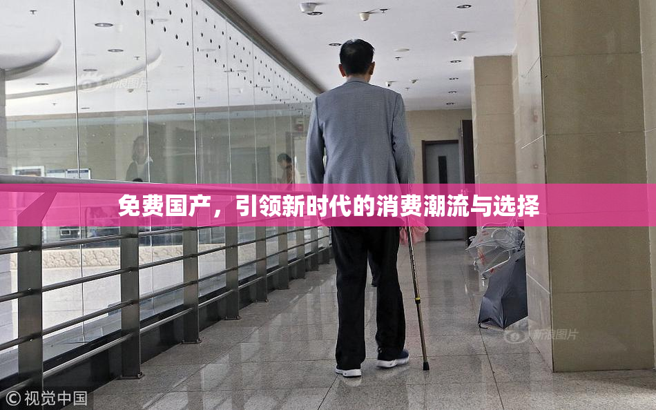 免费国产，引领新时代的消费潮流与选择