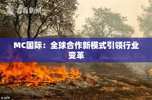 MC国际：全球合作新模式引领行业变革