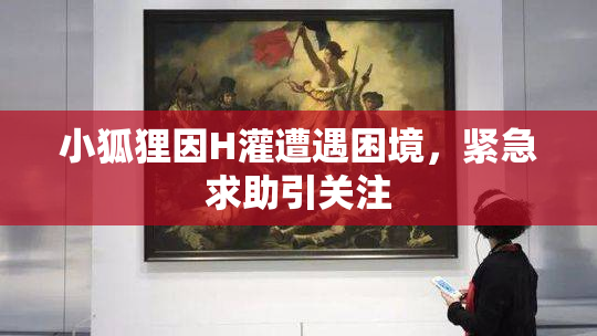 小狐狸因H灌遭遇困境，紧急求助引关注