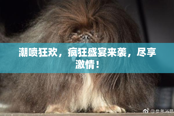 潮喷狂欢，疯狂盛宴来袭，尽享激情！