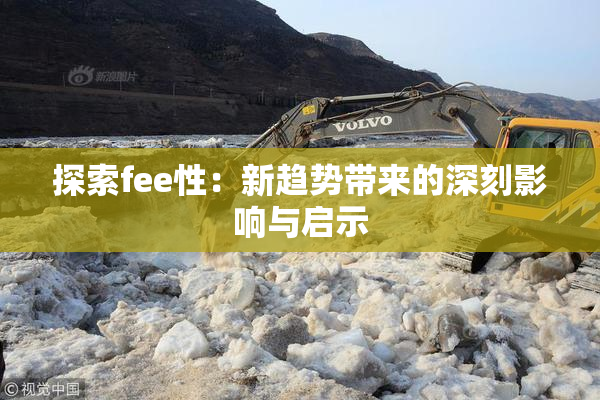 探索fee性：新趋势带来的深刻影响与启示