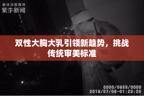 双性大胸大乳引领新趋势，挑战传统审美标准