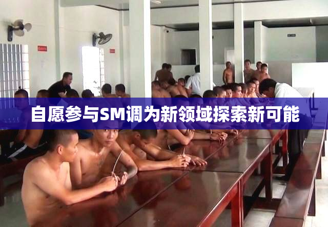 自愿参与SM调为新领域探索新可能