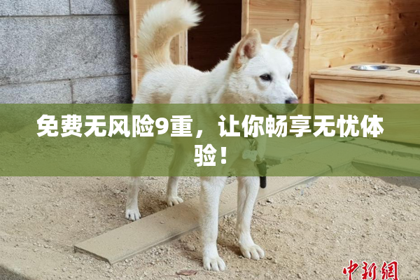 免费无风险9重，让你畅享无忧体验！