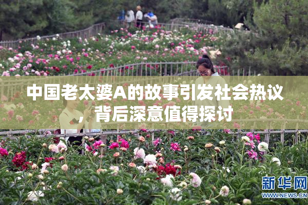 中国老太婆A的故事引发社会热议，背后深意值得探讨