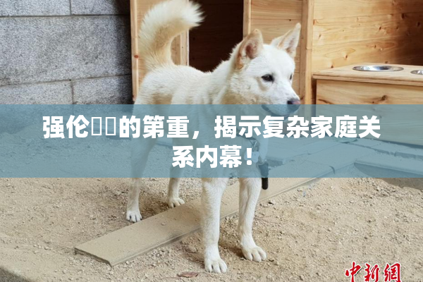 强伦妺妺的第重，揭示复杂家庭关系内幕！