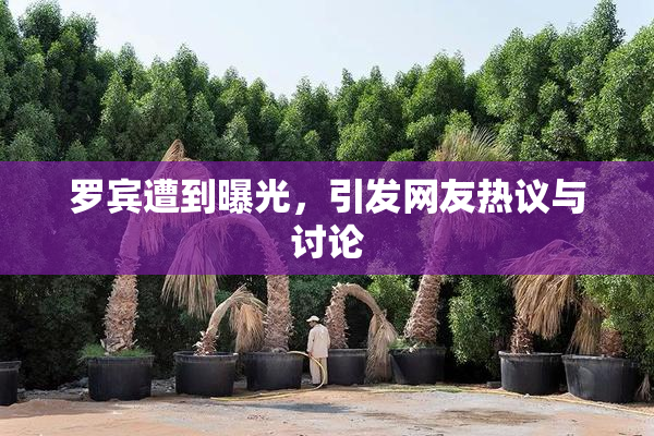 罗宾遭到曝光，引发网友热议与讨论