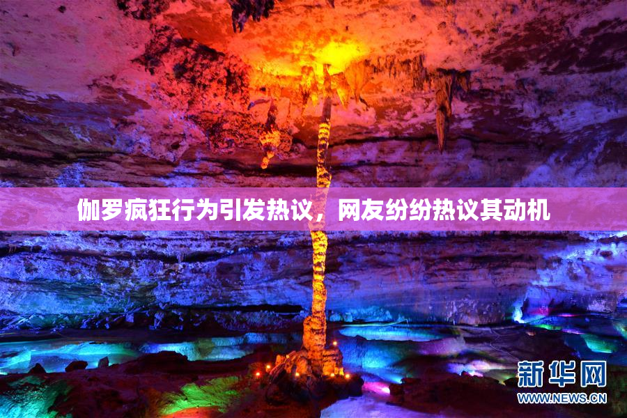 伽罗疯狂行为引发热议，网友纷纷热议其动机
