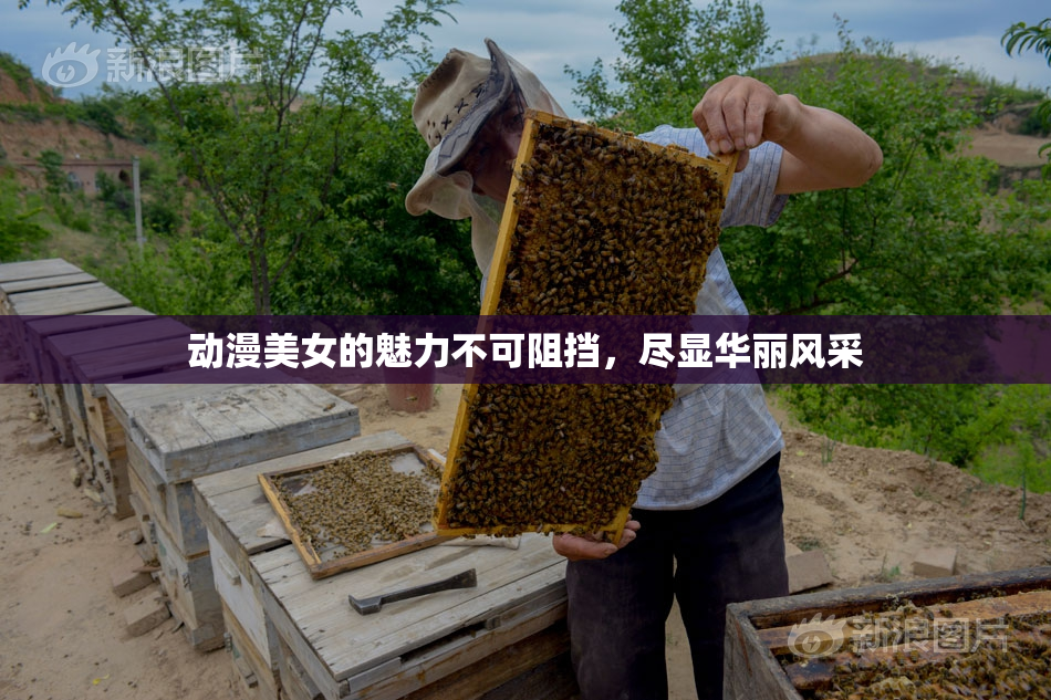 动漫美女的魅力不可阻挡，尽显华丽风采