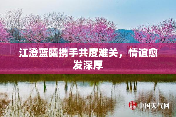 江澄蓝曦携手共度难关，情谊愈发深厚
