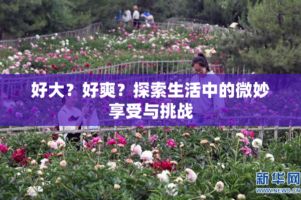 好大？好爽？探索生活中的微妙享受与挑战