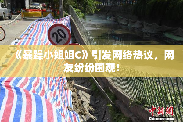 《暴躁小姐姐C》引发网络热议，网友纷纷围观！