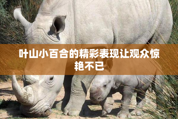 叶山小百合的精彩表现让观众惊艳不已
