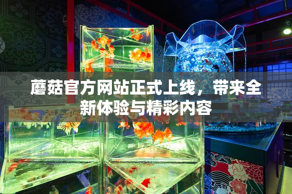 蘑菇官方网站正式上线，带来全新体验与精彩内容