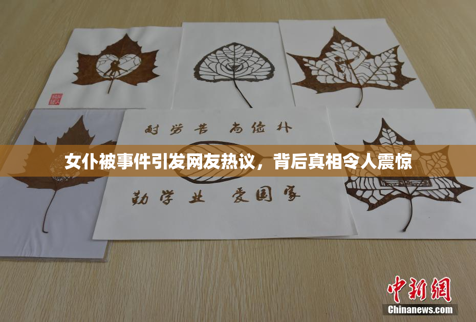 女仆被事件引发网友热议，背后真相令人震惊